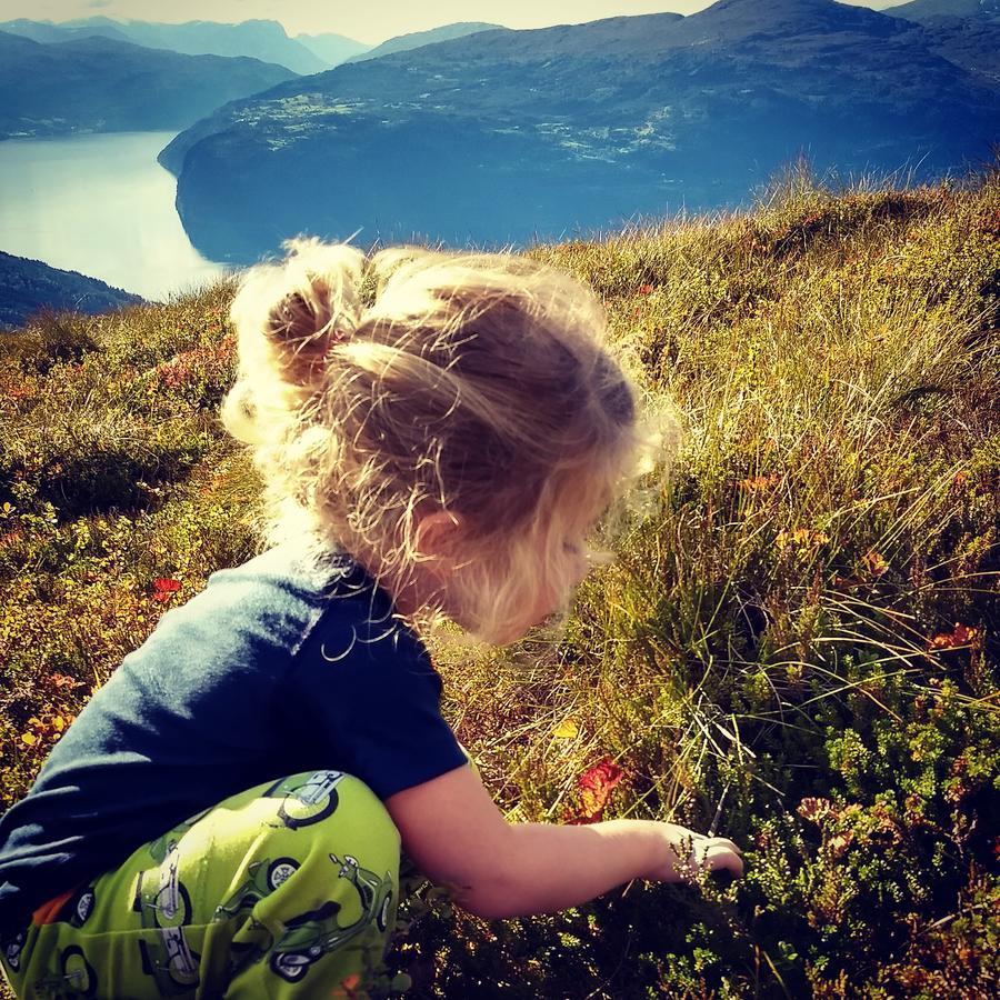 Oldevatn Camping Olden Eksteriør billede